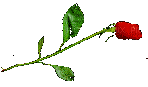 blood rose - Безплатен анимиран GIF
