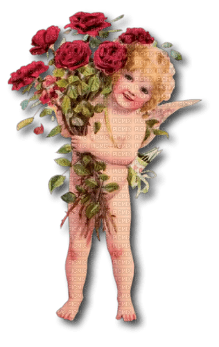 red rose and angel - ilmainen png