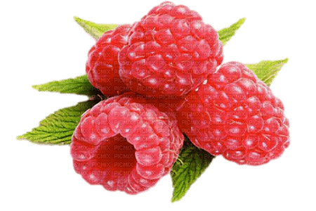Framboise - Free PNG