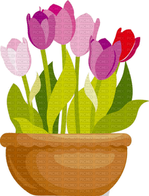Kaz_Creations Deco Vase Flowers Plant Colours - ilmainen png