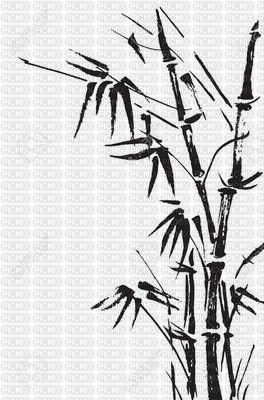 chantalmi bambou  noir - ilmainen png