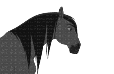 horse pferd cheval animal animals tier gif anime animated animation tube  cartoon disney, horse , pferd , cheval , animal , animals , tier , gif ,  anime , animated , animation , tube , cartoon , disney - Free animated GIF  - PicMix