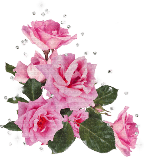 розы; декор - безплатен png