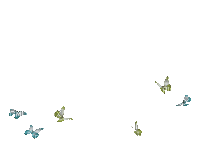 pillangó - Zdarma animovaný GIF
