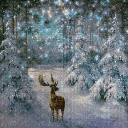 winter background nataliplus - Бесплатный анимированный гифка
