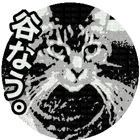 Cat Kitty - Animovaný GIF zadarmo