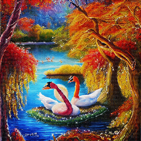 kikkapink autumn background swan lake - GIF animate gratis
