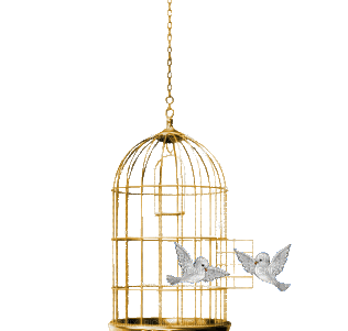 birdcage - GIF animé gratuit