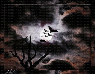 minou-background-fond-dark sky - gratis png