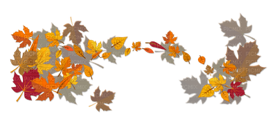 Autumn leaf - png gratis