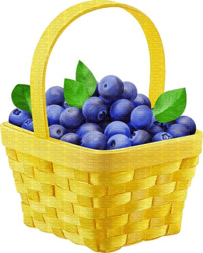 blueberries Bb2 - darmowe png