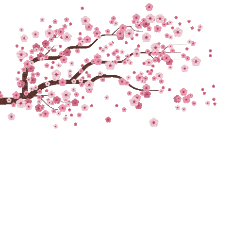 Cherrys - 無料のアニメーション GIF