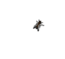 dragonfly katrin - GIF animate gratis
