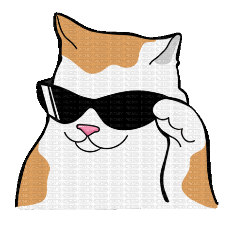 Cool Cat - Darmowy animowany GIF