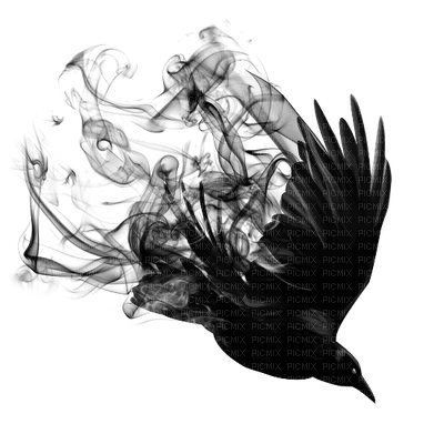 raven - δωρεάν png