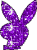 lapin playboy violet - GIF animé gratuit