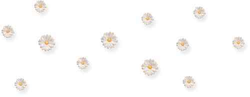 Daisy flower ❤️ elizamio - ilmainen png