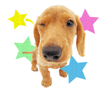 the dog line sticker wink - gratis png