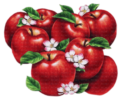 manzanas - 無料png