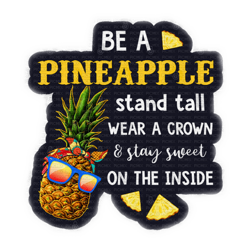 PINEAPPLE - png gratuito
