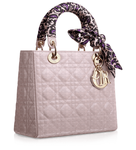 Kaz_Creations Dior-Bag - 免费PNG