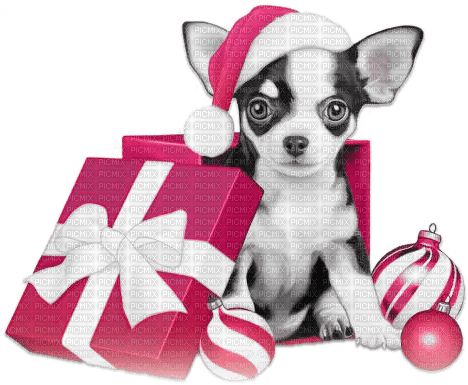 soave animals dog christmas winter black white - gratis png