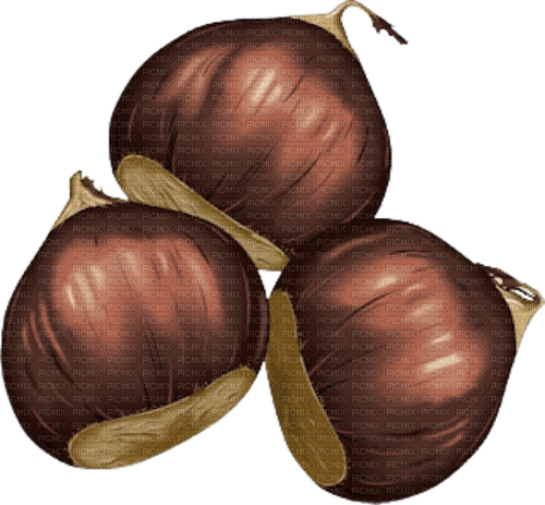 chestnuts Bb2 - PNG gratuit
