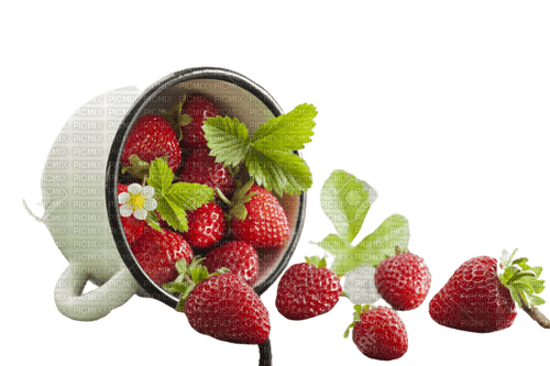 flower,fruit, strawberry,cup - ilmainen png