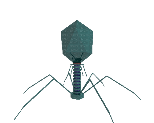 bacteriophage - GIF animé gratuit