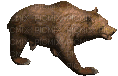 Bear Walking - Bezmaksas animēts GIF