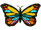 Papillon ** - GIF animate gratis