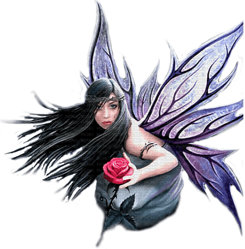 fairy by nataliplus - png ฟรี