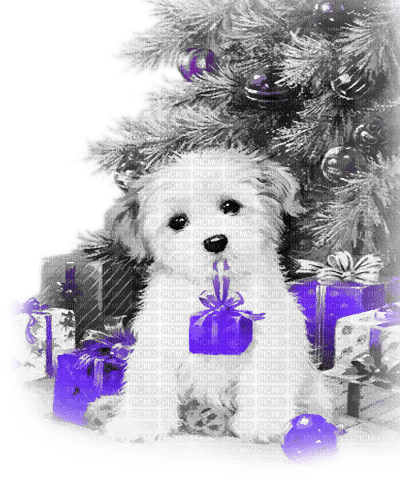 soave dog animals tree chrstmas black white purple - bezmaksas png