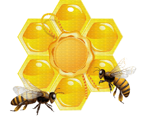 Honey Bee - Bogusia - ücretsiz png