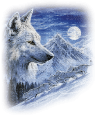 Tube Animaux Loup - δωρεάν png