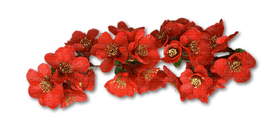 fleur rouge.Cheyenne63 - 免费PNG