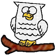 White Owl on Branch - Бесплатный анимированный гифка