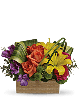 Kaz_Creations  Flowers Vase Plant - bezmaksas png
