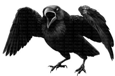 Kaz_Creations Halloween Deco  Birds Bird - png gratis