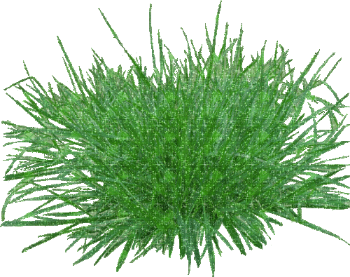 flower,grass,gif - Бесплатни анимирани ГИФ
