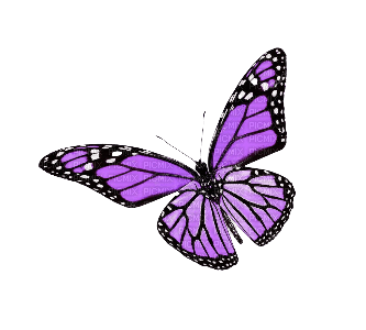 dolceluna spring butterfly purple deco summer png - png ฟรี