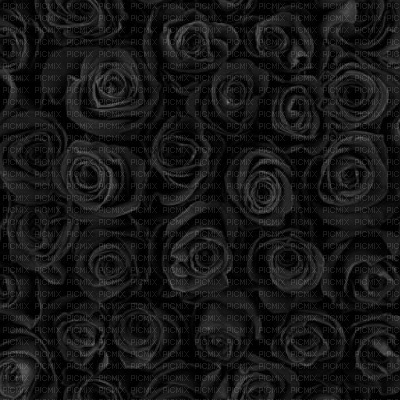 Black Roses Background - png gratuito