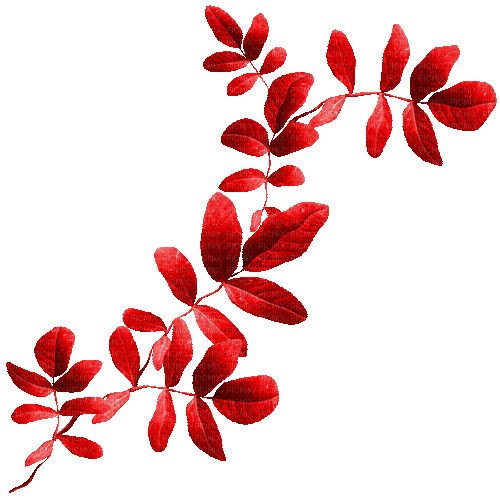 Branch.Leaves.Red.Animated - KittyKatLuv65 - GIF animate gratis