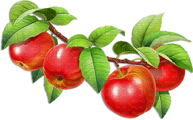 soave deco fruit apple branch red green - PNG gratuit