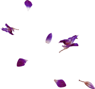 Kaz_Creations Purple Violet Deco - nemokama png