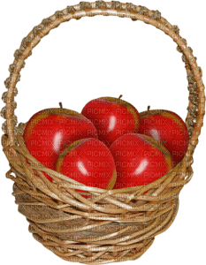 apple basket Bb2 - gratis png
