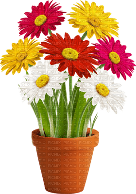flower,fleur - δωρεάν png