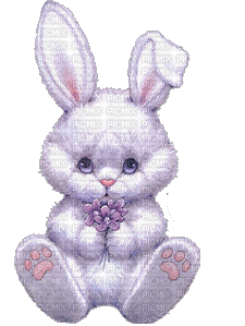 minou-animated-rabbit-kanin - GIF animate gratis