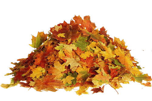 leaves fall autumn herbst - zdarma png