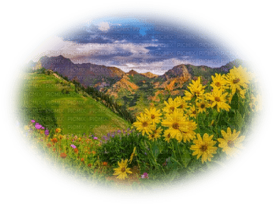 patymirabelle paysage - 免费PNG